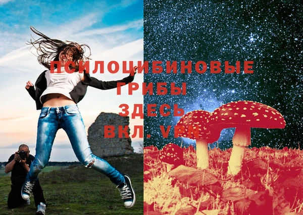 альфа пвп Нея