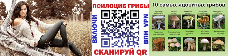 Галлюциногенные грибы Cubensis  Туймазы 