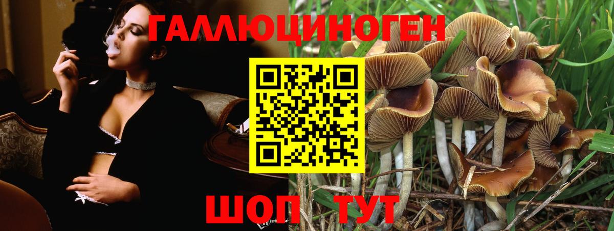 Туймазы  Галлюциногенные грибы ЛСД  Вход с VPN  Галлюциногенные грибы мицелий 